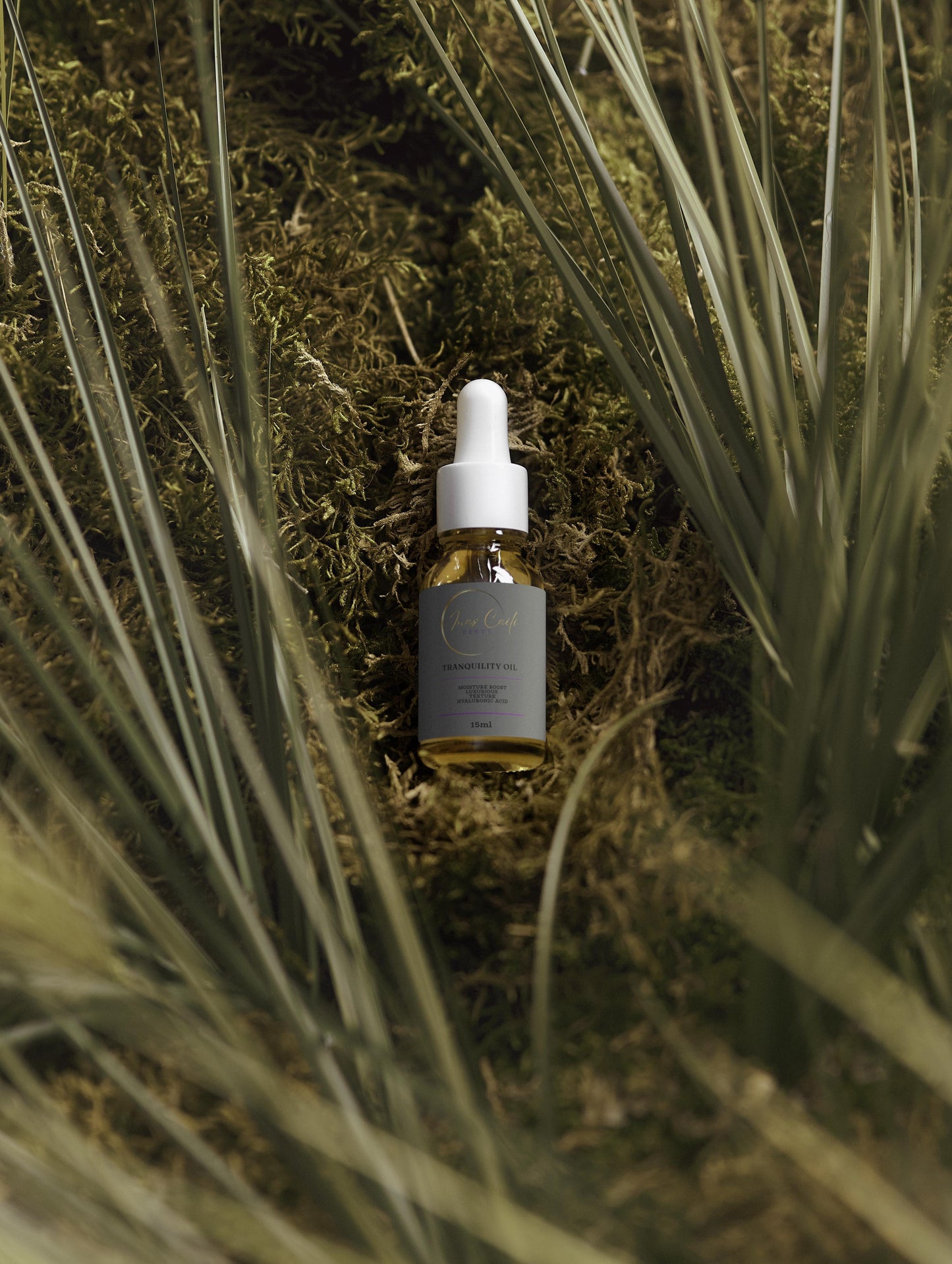 Tranquility Oil